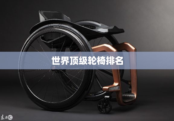 世界顶级轮椅排名