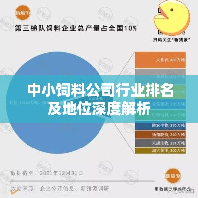 中小饲料公司行业排名及地位深度解析