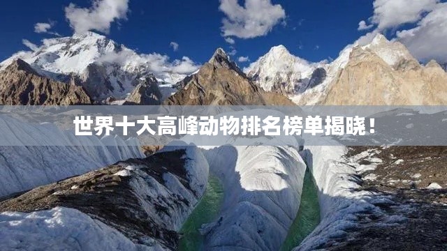世界十大高峰动物排名榜单揭晓！