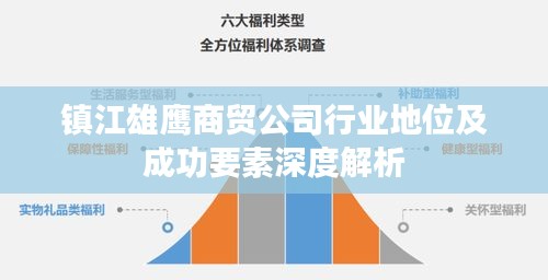 镇江雄鹰商贸公司行业地位及成功要素深度解析