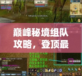 巅峰秘境组队攻略，登顶最新指南！