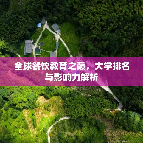 全球餐饮教育之巅，大学排名与影响力解析