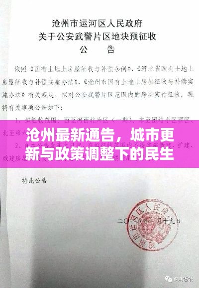沧州最新通告，城市更新与政策调整下的民生服务新动态