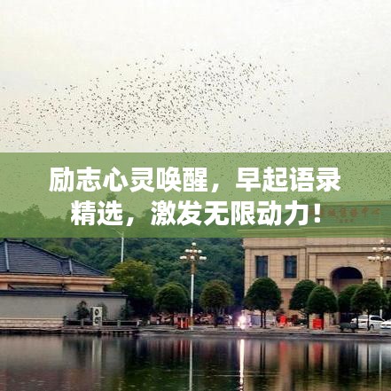 励志心灵唤醒，早起语录精选，激发无限动力！