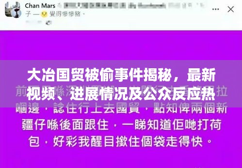 大冶国贸被偷事件揭秘，最新视频、进展情况及公众反应热议