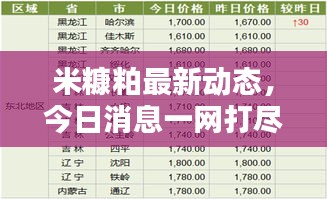 米糠粕最新动态，今日消息一网打尽！