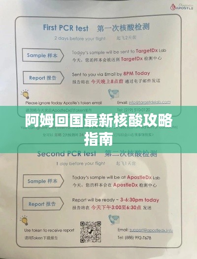 阿姆回国最新核酸攻略指南