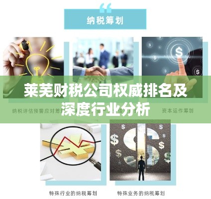莱芜财税公司权威排名及深度行业分析