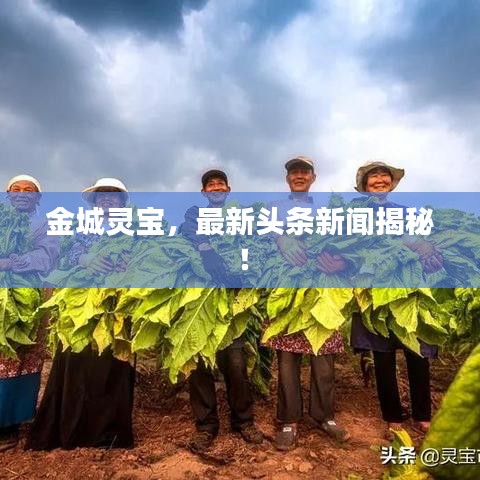 金城灵宝，最新头条新闻揭秘！