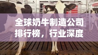 全球奶牛制造公司排行榜，行业深度洞察揭秘！