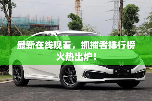 最新在线观看，抓捕者排行榜火热出炉！