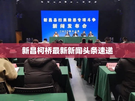 新昌柯桥最新新闻头条速递