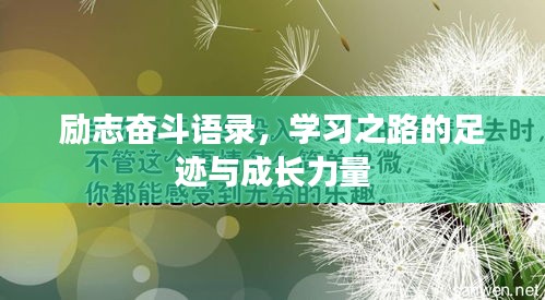 励志奋斗语录，学习之路的足迹与成长力量