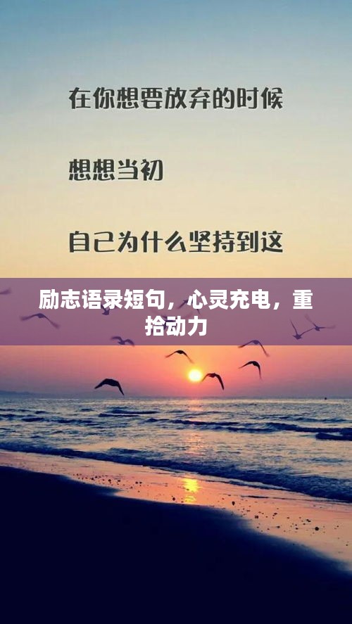 环肥燕瘦 第2页