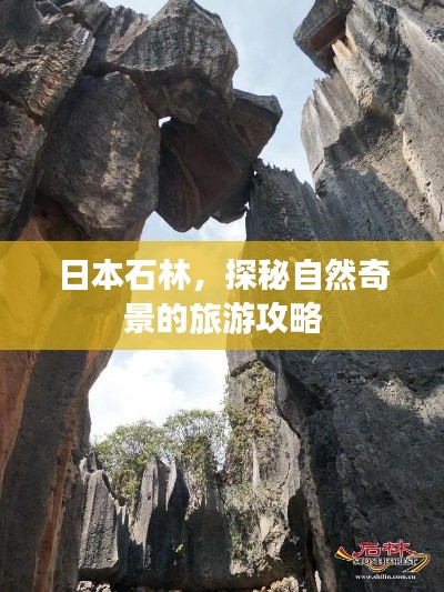 日本石林，探秘自然奇景的旅游攻略