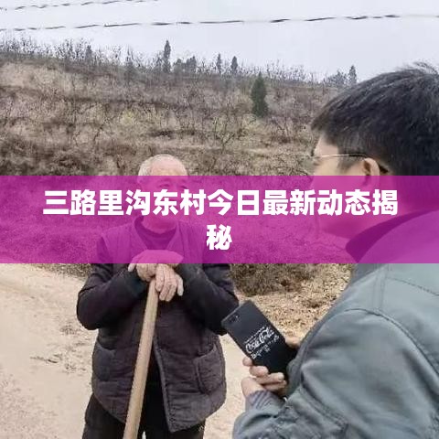三路里沟东村今日最新动态揭秘