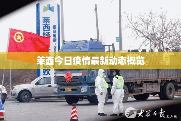 莱西今日疫情最新动态概览