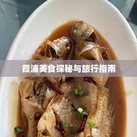 霞浦美食探秘与旅行指南