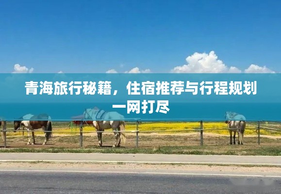 青海旅行秘籍，住宿推荐与行程规划一网打尽
