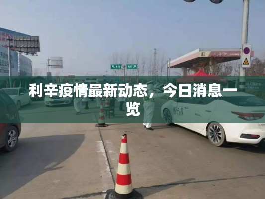 利辛疫情最新动态，今日消息一览