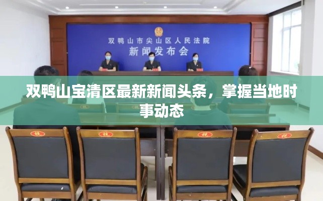 双鸭山宝清区最新新闻头条，掌握当地时事动态