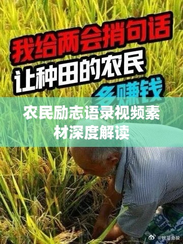 农民励志语录视频素材深度解读