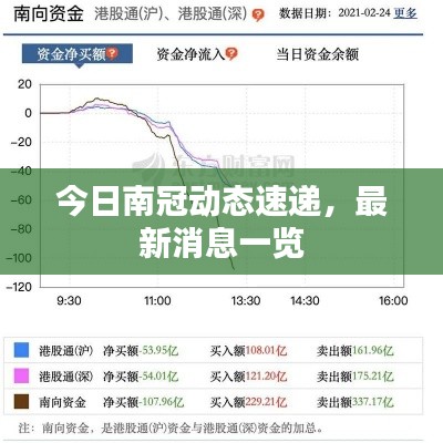 今日南冠动态速递，最新消息一览