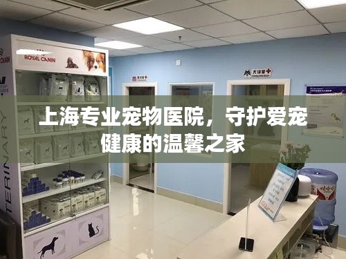 上海专业宠物医院，守护爱宠健康的温馨之家