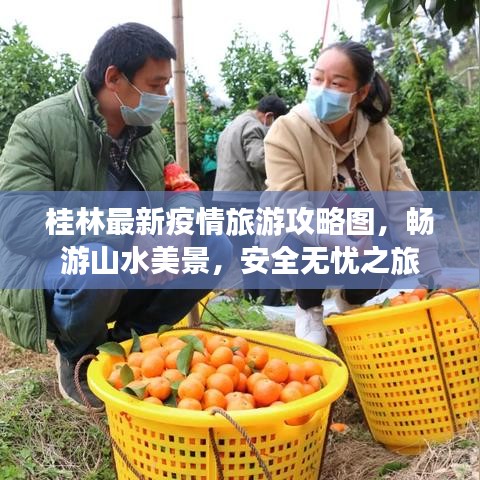 桂林最新疫情旅游攻略图，畅游山水美景，安全无忧之旅