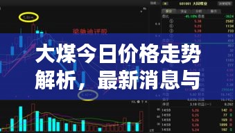 大煤今日价格走势解析，最新消息与详细分析