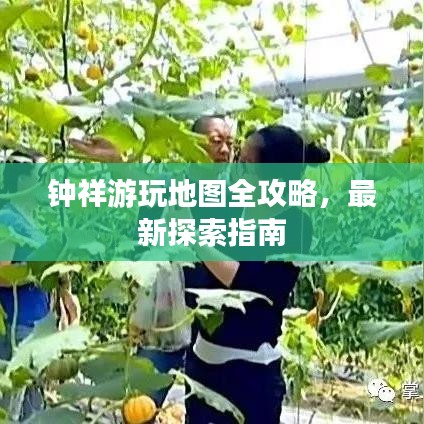 衣不兼采 第2页