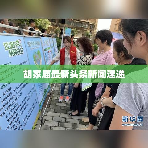 胡家庙最新头条新闻速递