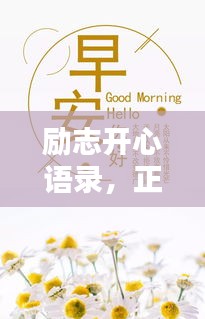励志开心语录，正能量爆棚，生活态度大解析！