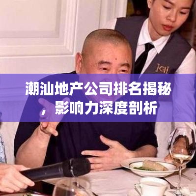 潮汕地产公司排名揭秘，影响力深度剖析