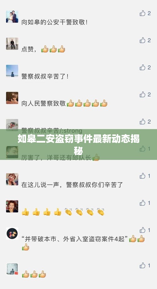 如皋二安盗窃事件最新动态揭秘