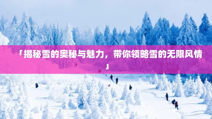 「揭秘雪的奥秘与魅力，带你领略雪的无限风情」