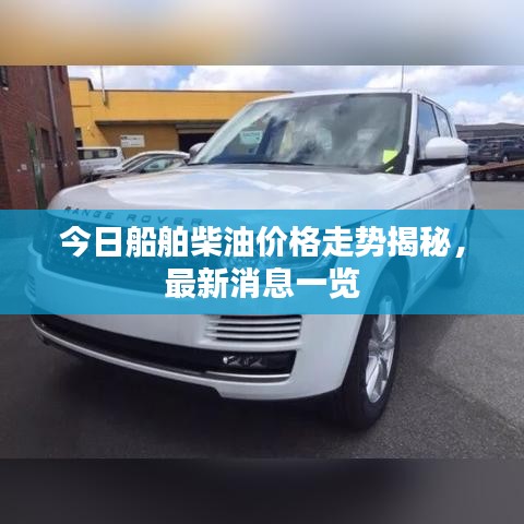 今日船舶柴油价格走势揭秘，最新消息一览