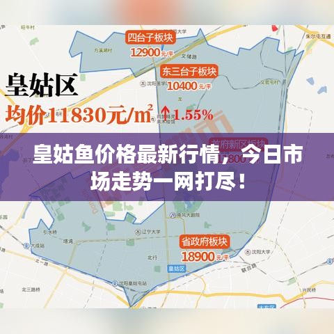 皇姑鱼价格最新行情，今日市场走势一网打尽！