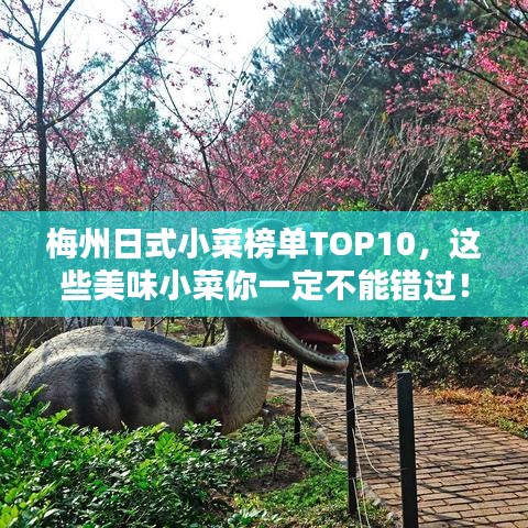 梅州日式小菜榜单TOP10，这些美味小菜你一定不能错过！