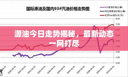 源油今日走势揭秘，最新动态一网打尽