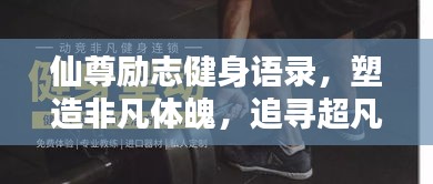 仙尊励志健身语录，塑造非凡体魄，追寻超凡自我