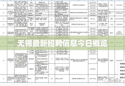 无锡最新招聘信息今日概览