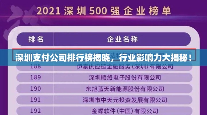 深圳支付公司排行榜揭晓，行业影响力大揭秘！