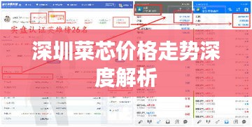深圳菜芯价格走势深度解析