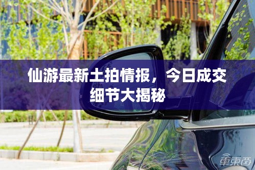 仙游最新土拍情报，今日成交细节大揭秘