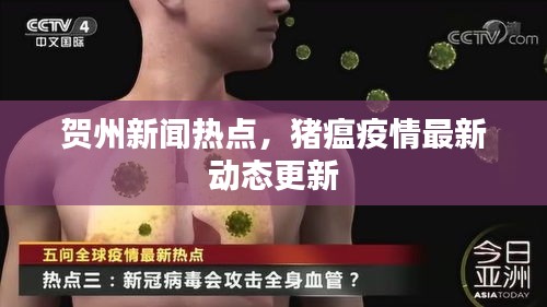贺州新闻热点，猪瘟疫情最新动态更新