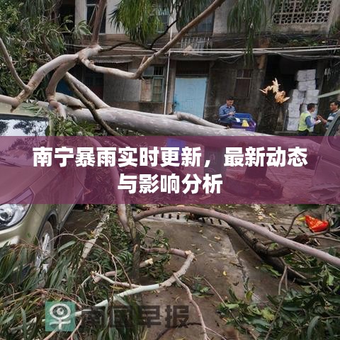 南宁暴雨实时更新，最新动态与影响分析