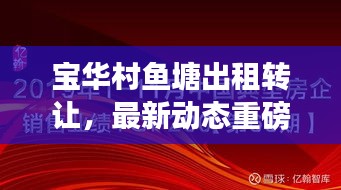 宝华村鱼塘出租转让，最新动态重磅发布！