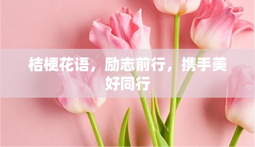 桔梗花语，励志前行，携手美好同行