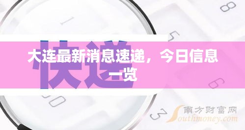 大连最新消息速递，今日信息一览